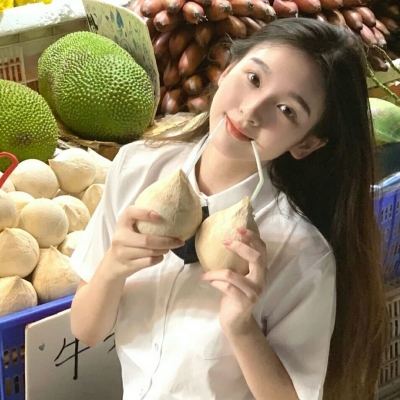 妖精的法则官方版下载